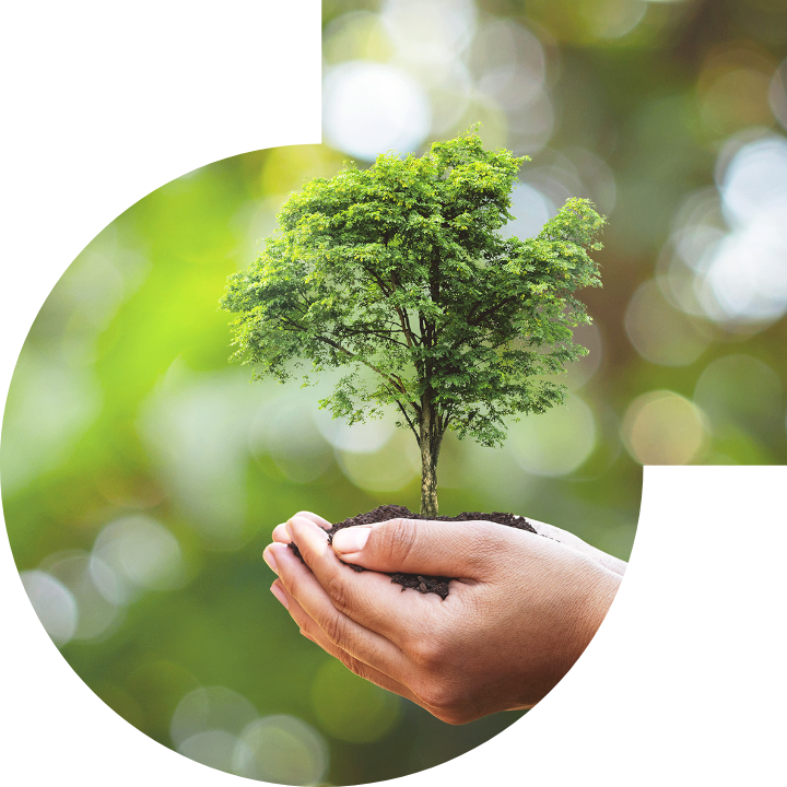 關懷人類、文化、環境與社會